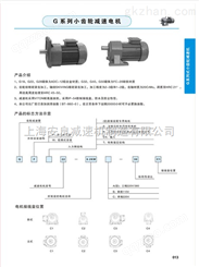 上海G系列蜗杆减速机-GV28减速机-GV32减速机价格